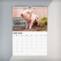 (image for) Personalised A4 Cute Animals Calendar