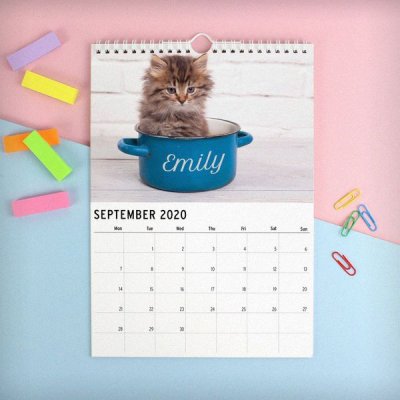 (image for) Personalised A4 Cats & Kittens Calendar