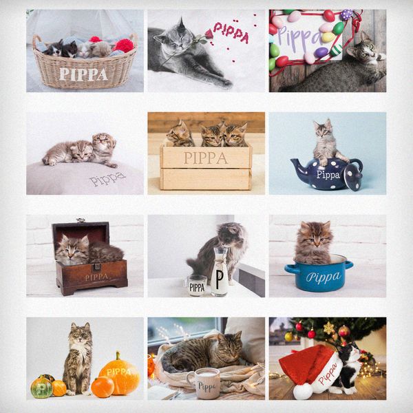 Modal Additional Images for Personalised A4 Cats & Kittens Calendar