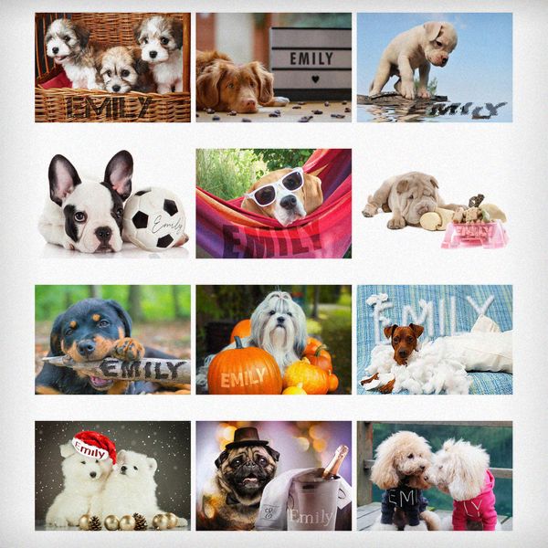 Modal Additional Images for Personalised A4 Barking Mad Calendar