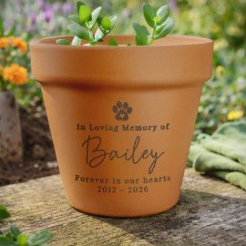 (image for) Personalised Pet Memorial Terracotta Plant Pot