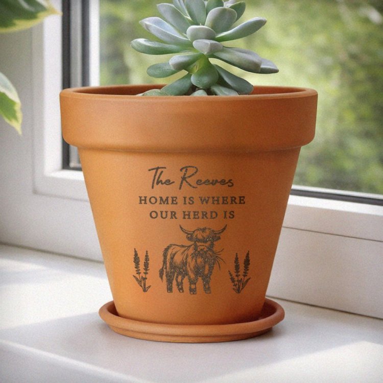 Modal Additional Images for Personalised Highland Cow Terracotta Plant Pot