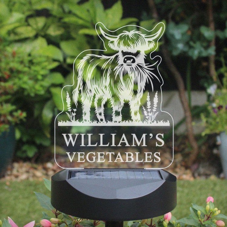 Modal Additional Images for Personalised Highland Cow Garden Solar Light