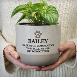 (image for) Personalised Pet Memorial Flecked Plant Pot