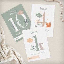 (image for) Personalised Woodland Animals Baby Milestone Cards