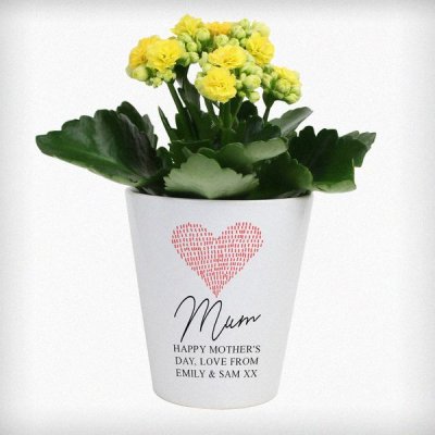 (image for) Personalised Heart Plant Pot