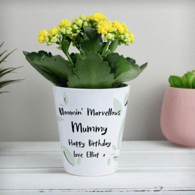 (image for) Personalised Free Text Plant Pot