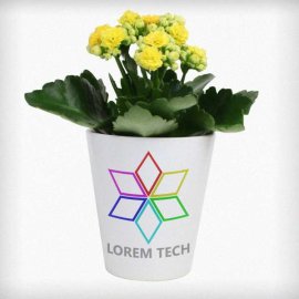 (image for) Bespoke Design Ceramic Flower Pot
