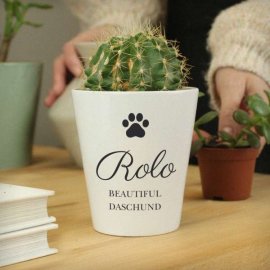 (image for) Personalised Paw Print Plant Pot