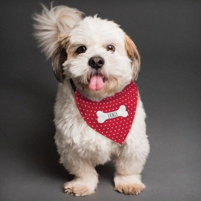 (image for) Personalised Red Polka Dot Dog Bandana