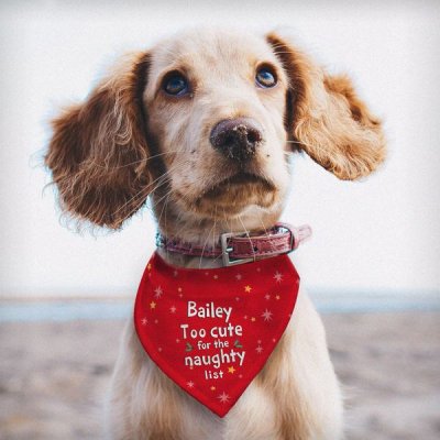 (image for) Personalised Too cute for the naughty list Dog Bandana