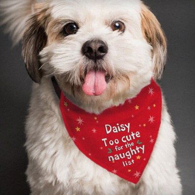 (image for) Personalised Too cute for the naughty list Dog Bandana