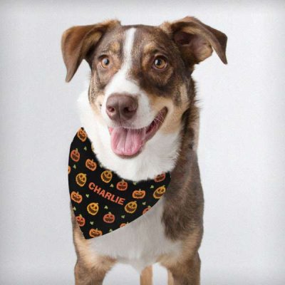 (image for) Personalised Pumpkin Patch Dog Bandana