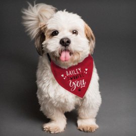 (image for) Personalised Woofs You Dog Bandana
