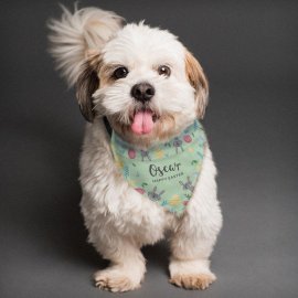 (image for) Personalised Easter Dog Bandana