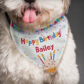 (image for) Personalised Happy Birthday Dog Bandana