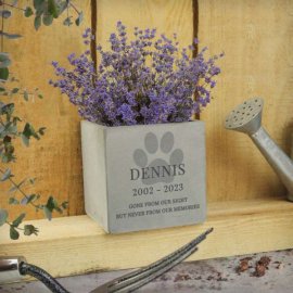 (image for) Personalised Pet Memorial Concrete Plant Pot