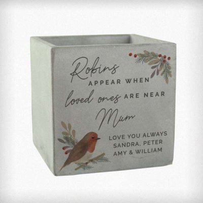 (image for) Personalised Robin Memorial Concrete Plant Pot