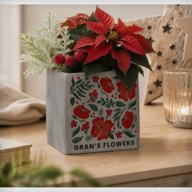 (image for) Personalised Poinsettia Concrete Plant Pot