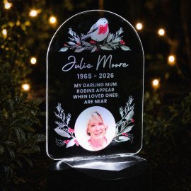 (image for) Personalised Robin Photo Upload Outdoor Solar LED Light