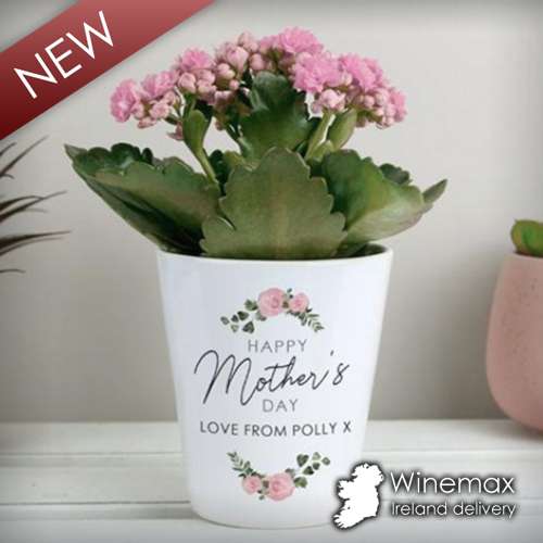 mothers day plant pot
