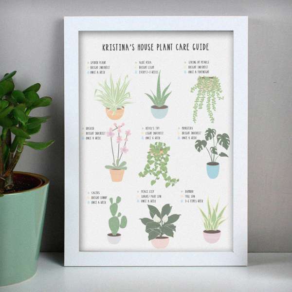 (image for) Personalised Plants Guide White A4 Framed Print - Click Image to Close