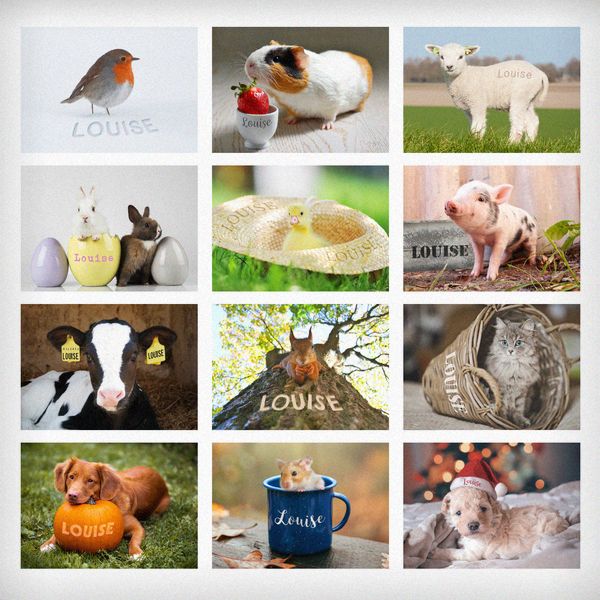 Modal Additional Images for Personalised Cute Animals Desk Calendar