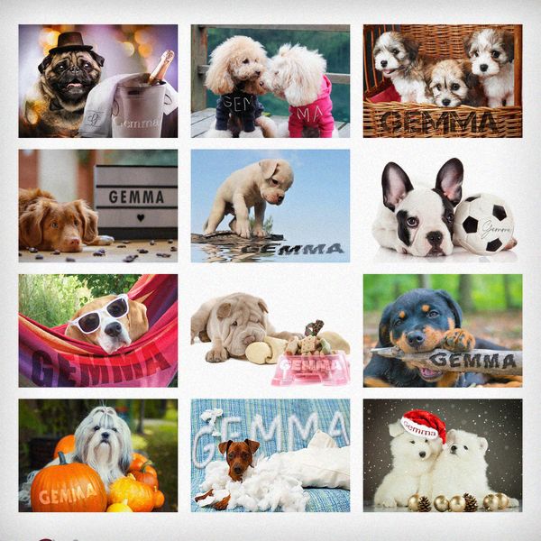 Modal Additional Images for Personalised Barking Mad Dog Desk Calendar