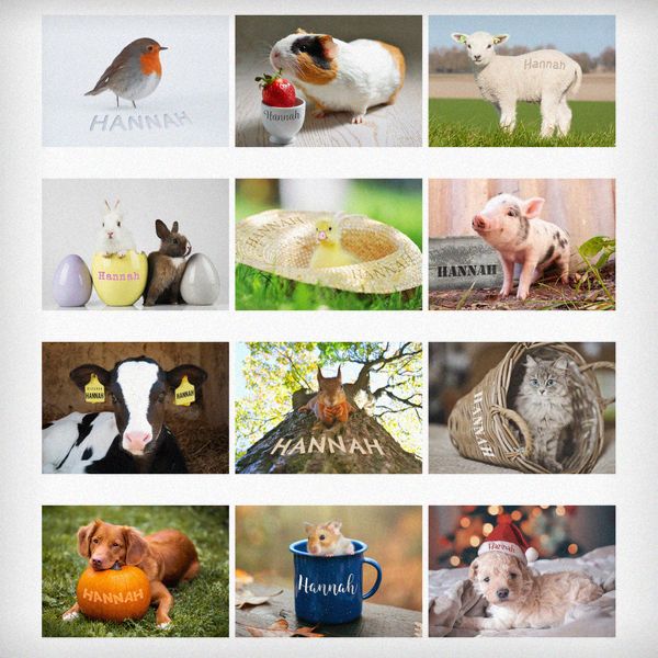 (image for) Personalised A4 Cute Animals Calendar - Click Image to Close