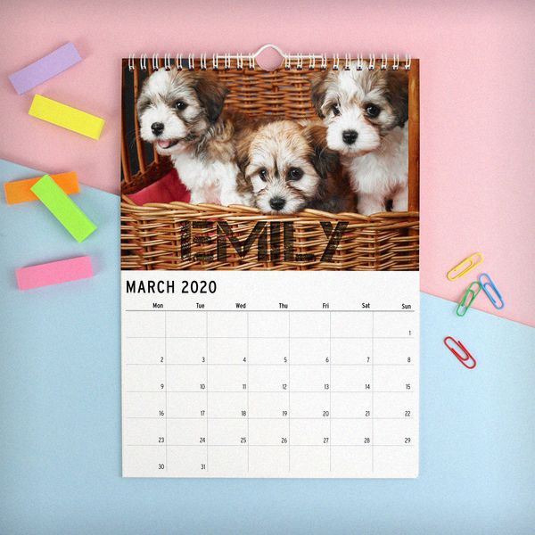 (image for) Personalised A4 Barking Mad Calendar - Click Image to Close