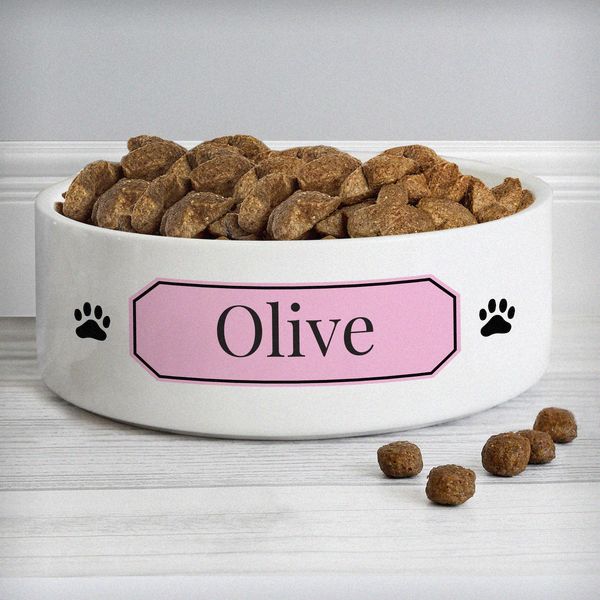 (image for) Personalised Pink Plaque 14cm Medium Pet Bowl - Click Image to Close