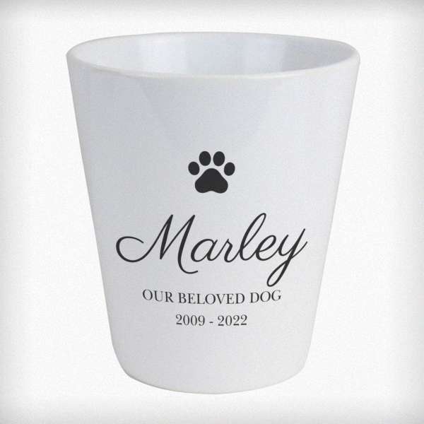 Modal Additional Images for Personalised Paw Print Plant Pot