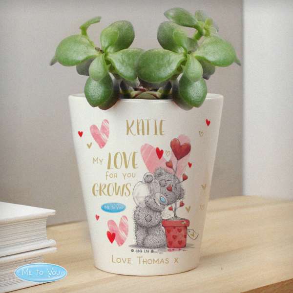 (image for) Personalised Me To You Hold You Forever Plant Pot - Click Image to Close