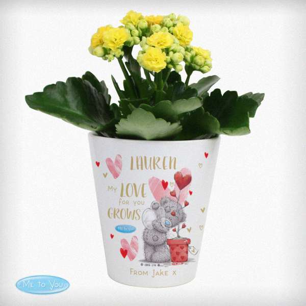 (image for) Personalised Me To You Hold You Forever Plant Pot - Click Image to Close