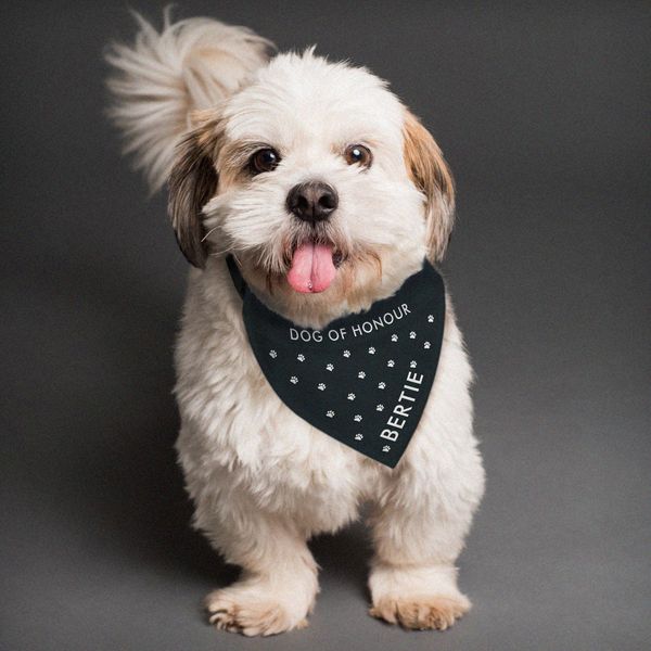 Modal Additional Images for Personalied Paw Print Dog Bandana