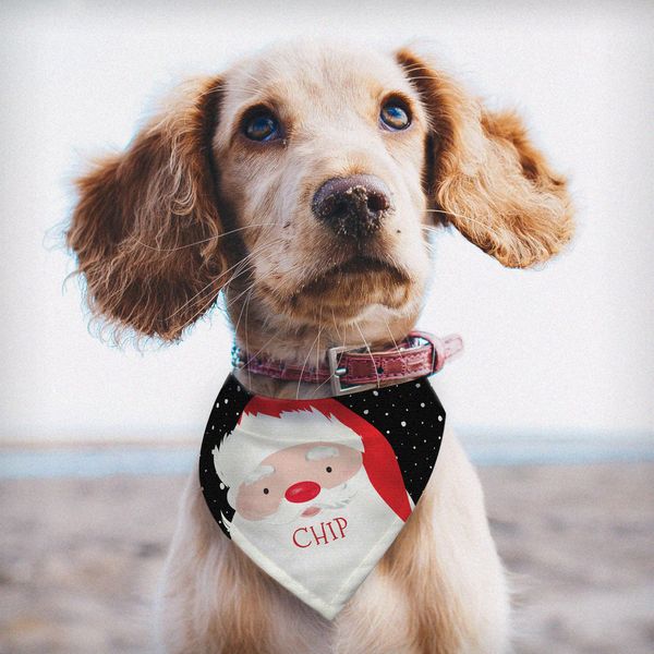 Modal Additional Images for Personalised Santa Dog Bandana
