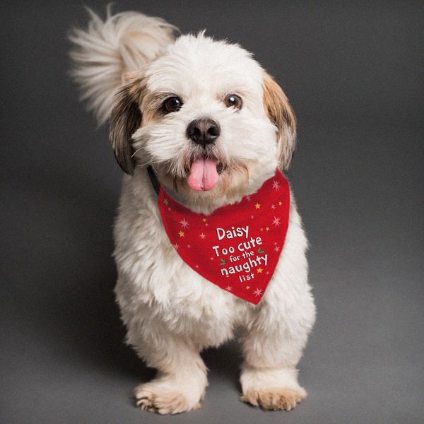 (image for) Personalised Too cute for the naughty list Dog Bandana - Click Image to Close